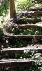 secretpath